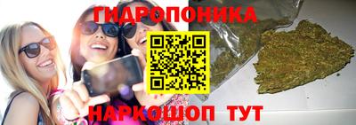 соль ск Заводоуковск