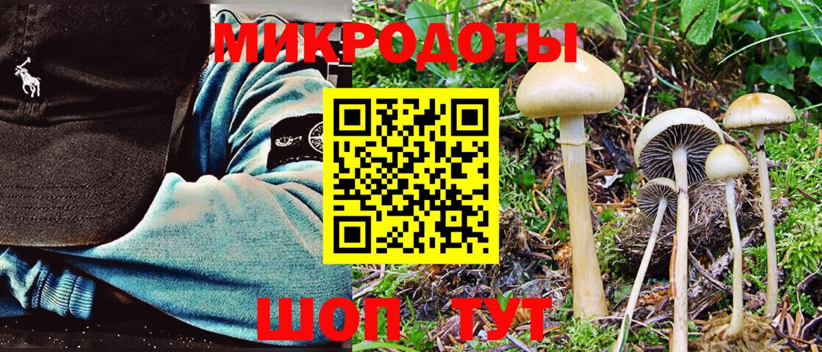 Псилоцибиновые грибы Magic Shrooms  Вход с VPN  Котельники 